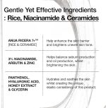 سرم آبرسان و تقویت کننده سد دفاعی برنج و سرامید آنوا (7 rice ceramide hydrating barrier serum anua) - Image 5